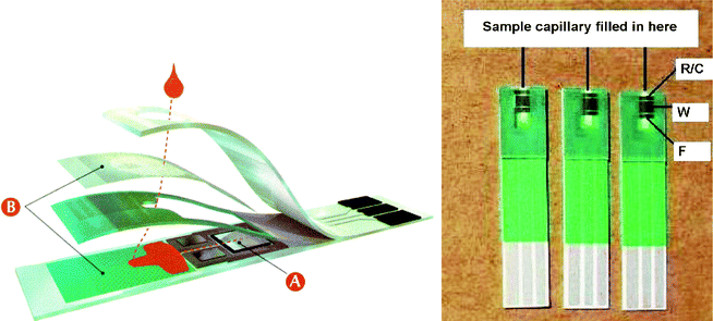 Cross section of a commercial strip for self-testing of blood glucose (left, reprinted with permission from ref. 26, copyright 2008, American Chemistry Society) and the test strips designed in 2008 (right, reprinted with permission from ref. 225, copyright 2009, Elsevier).