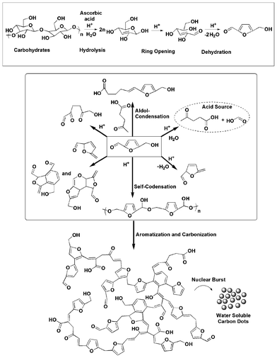 Possible mechanism for the formation of carbon dots.