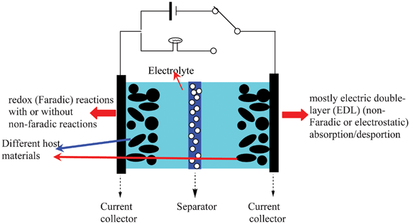 Schematic illustration of ASCs.