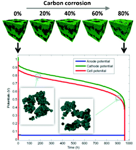 Multiscale simulation of the PEMFC carbon corrosion by combining a continuum model with a CGMD structural data.53