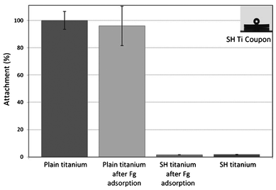 Attachment of Staphylococcus aureus cells to Fg treated and untreated plain Ti and fluorosiloxane coated superhydrophobic (SH) Ti surface. Reprinted with permission from C. P. Stallard, K. A. McDonnell, O. D. Onayemi, J. P. O'Gara and D. P. Dowling, Evaluation of protein adsorption on atmosphere plasma deposited coatings exhibiting superhydrophilic to superhydrophobic properties, Biointerphases, 2012, 7, 31.