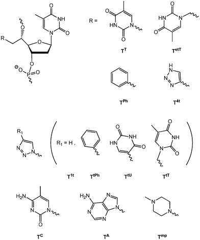 5′(S)-C-functionalised and double-headed nucleotides.