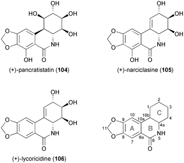 Structures of pancratistatin (104), narciclasine (105) and lycoricidine (106), and general ring denotation and atom numbering conventions for isocarbostyril alkaloids.