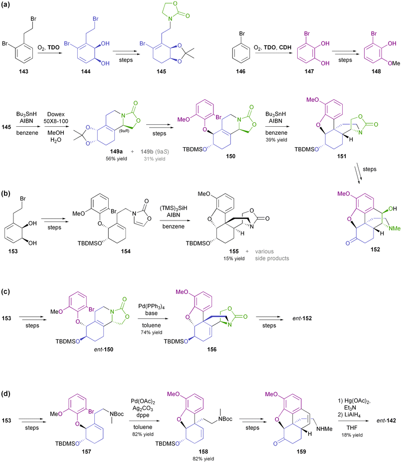 Chemo-enzymatic synthesis of morphinan alkaloids: (a) preparation of building blocks 145 and 148 using biocatalytic dioxygenation, and synthesis of morphinan 152 from these building blocks using radical cyclisations, (b) radical cyclisation cascade affording compound 155, (c) synthesis of ent-152 from TDO-derived diol 153 by a Heck-cyclisation approach, and (d) synthesis of (+)-neopinone (ent-142) from TDO-derived diol 153via Heck-cyclisation and hydroamination as key steps.