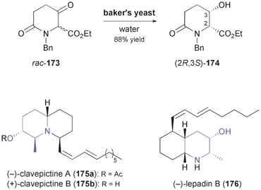 Asymmetric reduction/dynamic kinetic resolution of rac-173 by bakers yeast affording building block 174, and examples of alkaloids prepared from this building block.