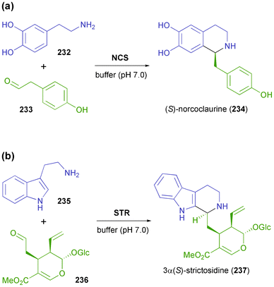 The natural reactions of (a) norcoclaurine synthase and (b) strictosidine synthase, which involve C–N bond formation and stereoselective C–C bond formation through an asymmetric Pictet–Spengler reaction.