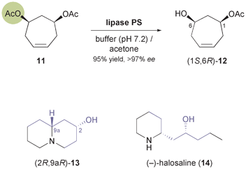 Desymmetrisation of meso-diacetate 11 using lipase PS affords compound 12, a building block used in the synthesis of alkaloids 13 and 14.