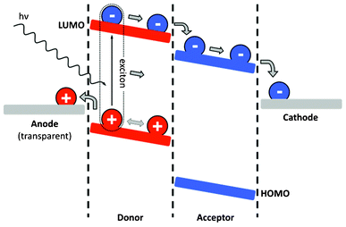 Simplified schematic showing the principal internal processes taking place in OPVs. Reproduced from ref. 14, copyright 2010, with permission from Elsevier.