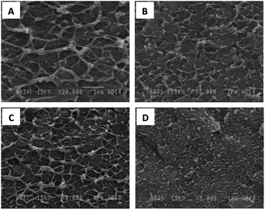 SEM micrographs of 6FOD(11) + 2% with (A) 20 wt%; (B) 25 wt%; (C) 30 wt%; and (D) 35 wt% of NH2-MIL-53(Al).