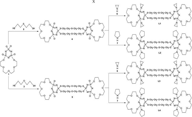 Syntheses of doubly-bridged PNP-lariat ethers.