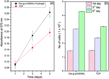 Cell viability study of Dxt-g-p(HEMA) 5 hydrogel.