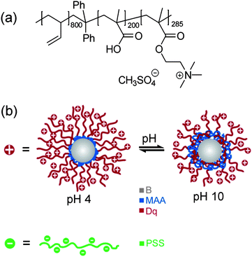 Chemical structure of the BMAADq triblock terpolymer (a), schematic representation of the solution structure of positively charged BMAADq micelles at pH 4 and pH 10, and negatively charged PSS (b).