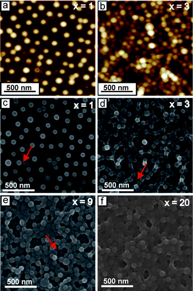 1.5 μm × 1.5 μm AFM height images (a and b) (color equates to z = 0–100 nm) and SEM images (c–f) of (BMAADq/PSS)x porous films. x is the number of build-up steps. Arrows indicate the formation of hydrophobic bridges.