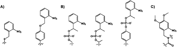 Structures of the caged (A) Ser and Tyr and (B) phospho-Ser/Thr/Tyr via side chain modification, and (C) backbone-caged amino acid.