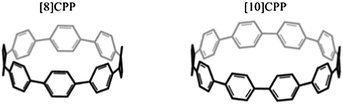 Schematic structure of [8] and [10]CPP.