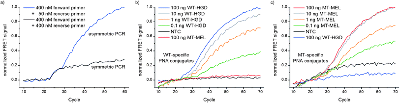 Normalized FRET signal upon PNA ligation during PCR. (a) Symmetric PCR (400 nM each primer) or asymmetric PCR (400 nM forward primer, 50 nM reverse primer), FAM-labeled PNA–thioester 4 and TMR-labeled WT-specific Cys-PNA 7 (200 nM PNA conjugates, 100 ng template WT-HGD); (b) 4 and WT-specific Cys-PNA 7 or (c) 4 and MT-specific Cys-PNA 6 in presence of 100–0.1 ng match DNA, 100 ng mismatch DNA and without DNA (PCR conditions: 400 nM forward primer, 50 nM reverse primer, 200 μM dNTPs, 2.5 mM MgCl2, 300 nM PNA conjugates, 1 mM MESNA, 10 mM TRIS, pH 8.5 (at 25 °C), 1 u Taq-Pol, PCR protocol: 10 s. 95 °C, 30 s. 50 °C (detection), 20 s. 72 °C, λex. = 490 nm (FAM), 485 nm (TMR), λem. = 530 nm (FAM), 585 nm (TMR)).