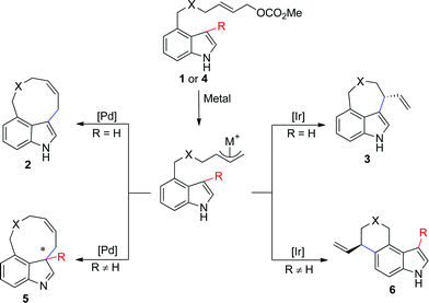 Proposed diversity oriented synthesis of indole-based peri-annulated structures.