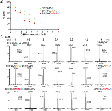 Release of mixed disulfide ADCs studied in vitro. (a) Release of CemCH2-SH after 10 min incubation of ADC with different equivalents of glutathione (GSH). Percentage of intact ADC and free antibody was assessed by LC-MS. (b) Corresponding deconvoluted LC-MS spectra for the three ADC variants incubated at increasing concentrations of GSH.