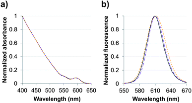 (a) Absorbance and (b) fluorescence spectra of CdSe/CdS/ZnS QDs capped with organic ligands () in hexane or with either DHLA–PEG2000 () or TMM–PEG2000 () in water.