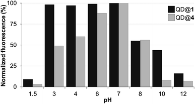 Fluorescence intensity of QDs capped with DHLA–PEG2000 (QD@4) or TMM–PEG2000 (QD@1) at different pH values.