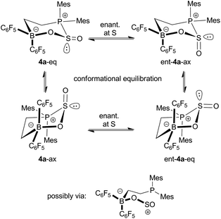 Enantiomerization and fluxional behavior of 4a.