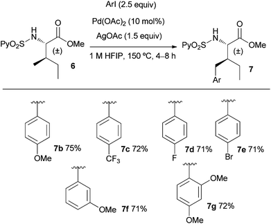 Scope of the γ-CH3 arylation of the allo-isoleucine derivative 6.