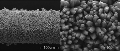Scanning electron micrographs of MAF-X8 crystals grown on stainless-steel fibers.