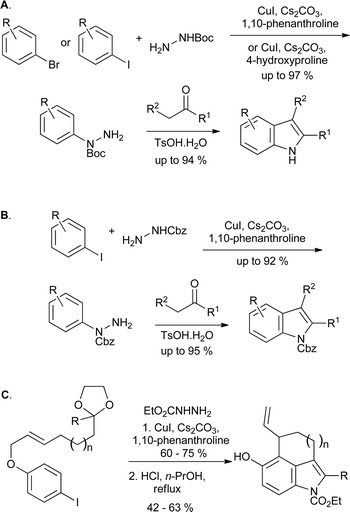 Copper catalyzed arylations of protected hydrazines in indole synthesis.