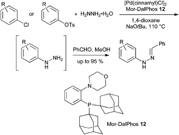 Palladium-catalyzed arylation of hydrazine hydrate.