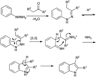 The Fischer indole synthesis.