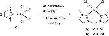 Synthesis of transition-metal complexes 5 and 6.