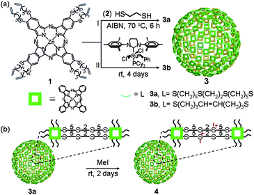 Schematic representation. (a) Direct synthesis of Pc nanospheres through thiol–ene “click” reaction 3a and olefin cross-metathesis reaction 3b. (b) Post-synthetic modification of the Pc nanosphere to enhance its dispersibility in aqueous media.