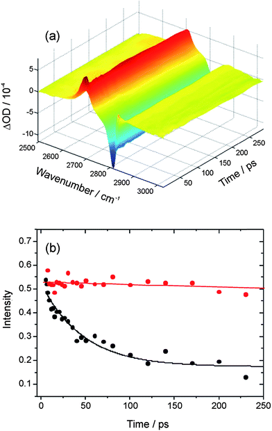 (a) Time resolved IR pump and IR probe spectra for HCl (∼0.15 M) dissolved in CDCl3. The spectra are presented as differences with and without the IR pump laser, so the negative signal is the bleach of the HCl (1–0) fundamental band and the positive signal is transient absorption on the HCl (2–1) hot band. (b) Decays of the wavenumber-integrated intensity of the transient HCl (2–1) band in solution in CDCl3 without (red) and with (black) added DMB (∼1 M). The solid lines are an overlay of an exponential decay with 4.7 ns time constant (red) and an exponential fit (black) for which the time constant is 47 ± 6 ps.