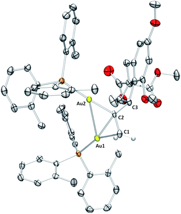 ORTEP diagram of 6 with 50% probability ellipsoids; most hydrogen atoms, CH2Cl2, and the NTf2− anion are omitted for clarity. Key bond lengths [Å] include: Au1–Au2 [3.13563(18)], Au2–C2 [2.059(3)], Au1–C1 [2.275(3)], Au1–C2 [2.287(3)], and C1–C2 [1.369(5)].17