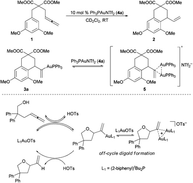 Digold resting states in the gold(i)-catalyzed intramolecular allene hydroarylation (top) and hydroalkoxylation (bottom) reactions.