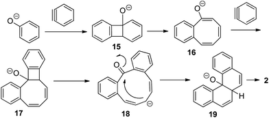 Reaction mechanism.