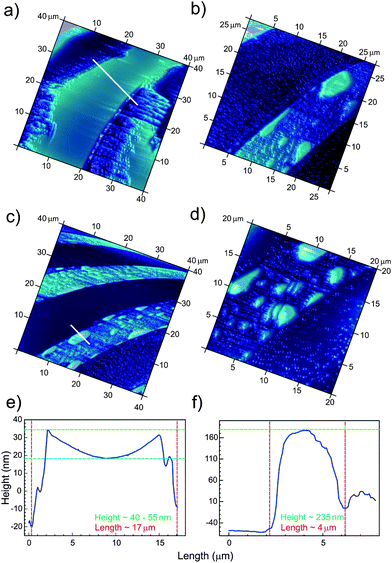 Formation of gas layers and nanobubbles (height profile) on the hydrophobic stripes (bright areas) of unirradiated patterns during AFM measurements at different times: (a) 20 min, (b) 30 min, (c) 40 min and (d) 50 min. The width of the hydrophobic stripes is 10 μm and the width of the hydrophilic stripes is 20 μm. Two cross-sections through the gas layer (e) and gas bubble (f) formed on the hydrophobic stripe. The unexpected shape in (e) may be due to a measurement artifact of the tapping mode or to a long-range attraction between the hydrocarbon/air and the air/liquid interfaces. Other cross-sections are given in the ESI (Fig. S1).