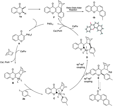 Proposed catalytic cycle.