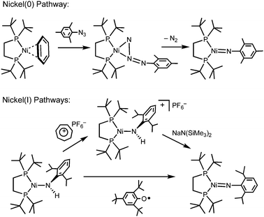 Three independent routes to 3-coordinate Ni imides.