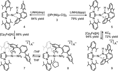 Formation of IPr-supported terphenyl amides via chloride substitution from 3. Oxidation of the resulting Ni amides leads to either C–H activation or simple cation formation. A = B(ArF)4 anion.