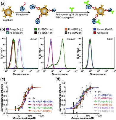 Cell binding specificity and C1q binding ability of Fc–aptamer conjugates. (a) The general cell binding analysis scheme is shown. The cells were incubated with Fc–aptamer samples, which were subsequently detected using FITC-labeled secondary antibodies specific for Fc of human IgG1. (b) Flow cytometry data are shown for the binding of Fc–aptamer conjugates to Jurkat cells (overexpressing PTK7, the target of the sgc8c aptamer, ref. 20), Romos cells (overexpressing membrane-bound IgM, the target for the TD05.1 aptamer, ref. 21), and U266 cells as a negative control. All Fc–sgc8c and Fc–TD05.1 conjugates retained their targeting specificity, whether they were generated using hydrazone formation (labeled ‘h’) or oxidative coupling (labeled ‘o’). Unmodified Fc proteins and an Fc–M2M2 conjugate (bearing a scrambled 41-base oligonucleotide) did not bind to any cell lines. (c) ELISA data are shown for C1q binding to unmodified Fc, PLP-treated Fc, and Fc after oxime formation with BnONH2. (d) ELISA data are shown for C1q binding to the Fc–aptamer conjugates used in (b).