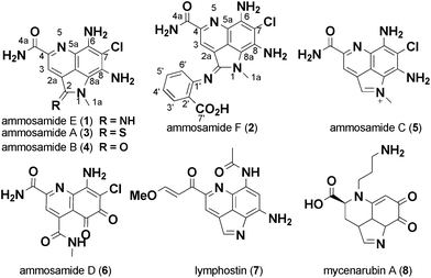 Structures of pyrroloquinoline family alkaloids.