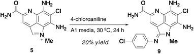 Conversion of 5 to 9.