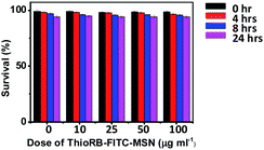 Cytotoxicity of ThioRB-FITC-MSN. L929 cells were incubated with various amounts of ThioRB-FITC-MSN (0, 10, 25, 50, 100 μg ml−1) for 0–24 h. Cell viability was determined by trypan blue exclusion assay.