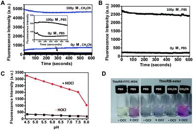 Chemical properties of ThioRB-FITC-MSN. (A) HOCl mediated turn-on fluorescence of ThioRB-ester (10 μM) in PBS (dark line) or acetonitrile (blue line) spiked with or without NaOCl (100 μM); the inset shows the zoom of the kinetic profiles of ThioRB-ester in PBS; (B) kinetic profiles of HOCl triggered activation of the spirothioether of ThioRB-FITC-MSN (1 mg ml−1) in PBS spiked with or without NaOCl (100 μM); (C) titration of ThioRB-FITC-MSN (1 mg ml−1) in Na2HPO4–H3PO4 buffer (200 mM) of various pH values supplemented with or without NaOCl (100 μM); the pH profile of ThioRB-FITC-MSN is shown as a dark line while the pH correlated titration curve on activation of ThioRB-FITC-MSN by HOCl is shown in red; the fluorescence intensity at 586 nm was monitored using an excitation wavelength of 560 nm; (D) visual images of ThioRB-FITC-MSN (1 mg ml−1) and ThioRB-ester (10 μM) in PBS or acetonitrile supplemented with or without NaOCl (100 μM).