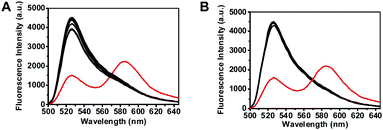 Selectivity of ThioRB-FITC-MSN for HOCl over selected cations or reactive oxygen species in Na2HPO4–citrate buffer (100 mM, pH 5.0). The fluorescence emission of the nanodosimeter in buffers spiked with various analytes which was due to opening of the ThioRB moiety was recorded using an excitation wavelength of 490 nm. (A) Fluorescence spectra of ThioRB-FITC-MSN (1 mg ml−1) in Na2HPO4–citrate buffer with no addition or with each of the following species (1 mM): K+, Na+, Cu2+, Mn2+, Mg2+, Ca2+, Zn2+, Fe3+, Fe2+, Co2+, Ni2+, Pb2+, or HOCl (0.08 mM, in red); (B) fluorescence spectra of ThioRB-FITC-MSN (1 mg ml−1) in Na2HPO4–citrate buffer with no addition, or with each of the following species (1 mM): H2O2, ˙OH, ROO˙, NO, O2−˙ or HOCl (0.08 mM, in red) (λex@490 nm).