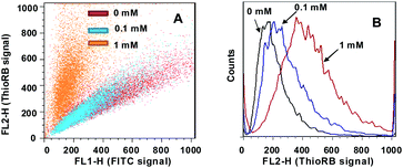 Flow cytometric analysis of lysosomal HOCl in L929 cells with ThioRB-FITC-MSN under single wavelength excitation (λex@488 nm) (A). (B) Dose-dependent formation of ThioRB fluorescence in L929 cells treated with different levels of NaOCl as indicated. The fluorescence of FITC (FL1) was collected @510–535 nm while that of the ThioRB signal was collected @565–625 nm (FL2).