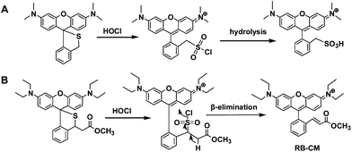 Sensing mechanism of ThioRB-ester (B) to HOCl as compared to that of a reported chemodosimeter (A).3b