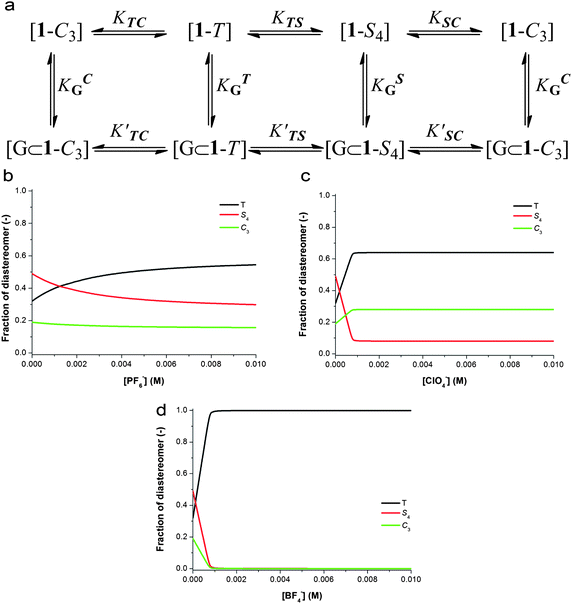 The network of species present in 1 after the addition of an anionic guest and calculated responses of the system. (a) Each of the three diastereomers of 1 (1-T, 1-S4 and 1-C3) are in equilibrium with each other; these relationships are governed by the equilibrium constants KTC, KTS and KSC. Encapsulating an anionic guest, G, by 1-C3 produces [G⊂1-C3], encapsulation of G by 1-T produces [G⊂1-T] and encapsulation of G by 1-S4 produces [G⊂1-S4]. These equilibria are governed by the equilibrium constants KCG, KTG and KSG, respectively. The host–guest complex diastereomers are also in equilibrium with each other with the relationships governed by the equilibrium constants K′TC, K′TS and K′SC. (b) Calculated (see the ESI) change in the total fraction of each diastereomer upon addition of PF6−. 1-C3 stays almost constant, and 1-T increases at the expense of 1-S4. (c) Calculated (see the ESI) change in the total fraction of each diastereomer upon addition of ClO4−. 1-C3 and 1-T increase at the expense of 1-S4. (d) Calculated (see the ESI) change in the total fraction of each diastereomer upon addition of BF4−. 1-T increases at the expense of both 1-S4 and 1-C3.