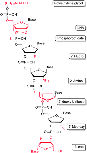 Modifications employed to improve the pharmacokinetic profile of aptamers by stabilizing the nucleic acids against enzymatic hydrolysis and renal filtration.